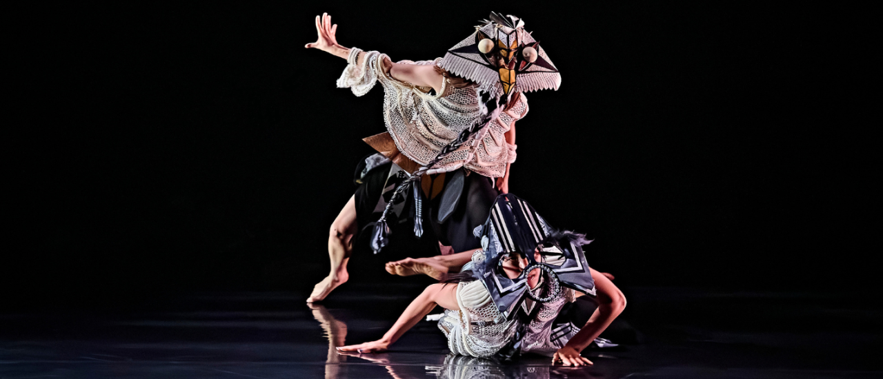 faye is dressed as a salmon in Mabon, a large mask over her face as she slides across the floor, another dancer moving over her
